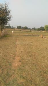 Gallery Cover Image of Sq.ft Residential Plot for buy in Raksa for 300000