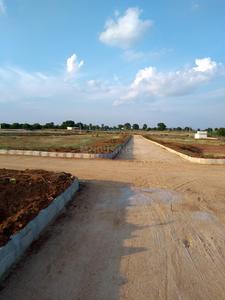 Residential Plot