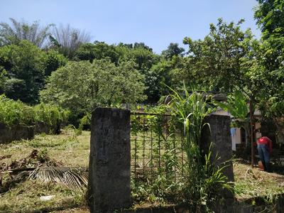 Residential Plot