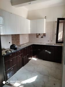 Gallery Cover Image of 1200 Sq.ft 3 BHK Independent Floor for buy in Sector 11 for 4200000