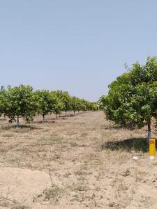 Residential Plot