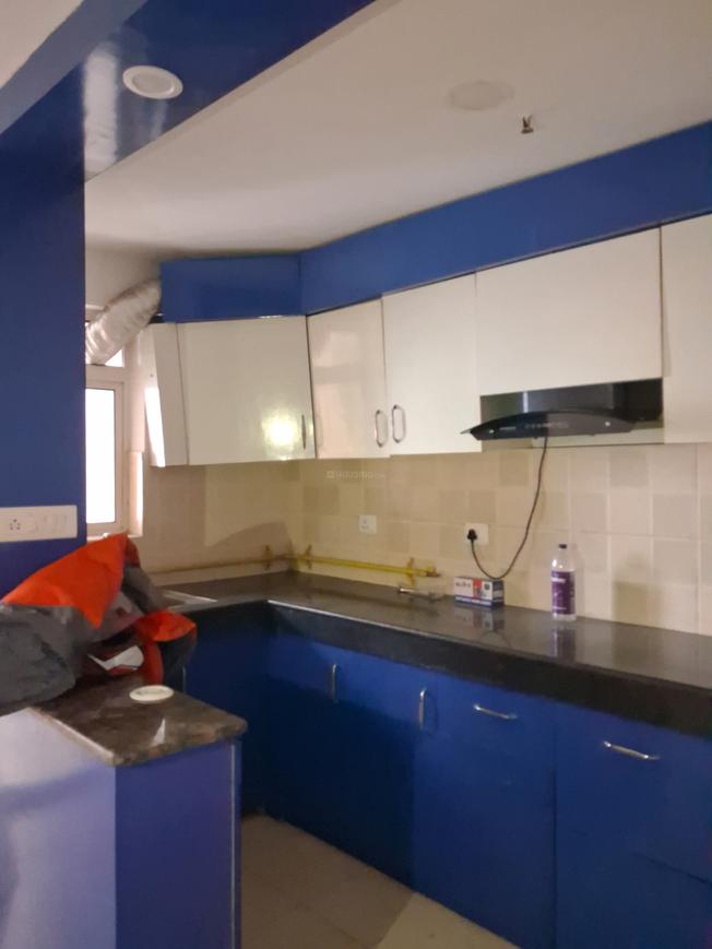 Paras Seasons - Image 16