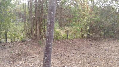 Gallery Cover Image of Sq.ft Residential Plot for buy in Ollur for 4000000