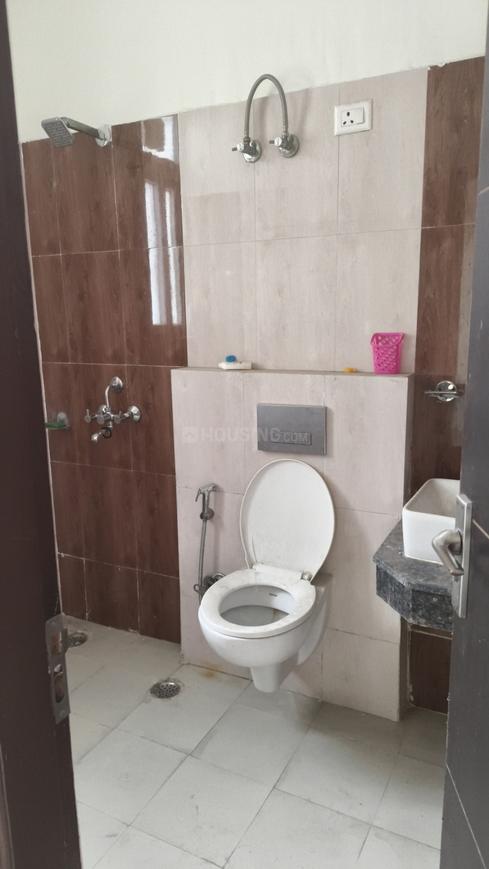 Sikka Karnam Greens - Image 18