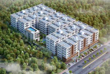 3 BHK Apartment