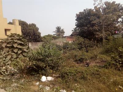 Residential Plot
