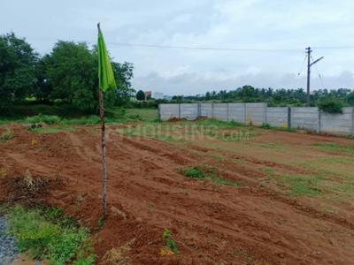 Gallery Cover Image of Sq.ft Residential Plot for buy in Hosur for 1425000