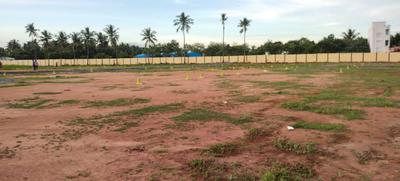 Residential Plot
