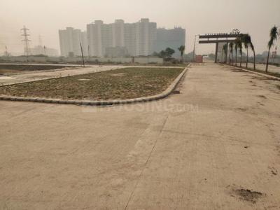 Residential Plot