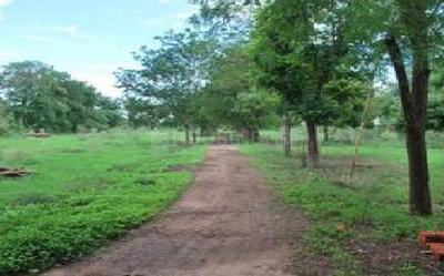 Residential Plot