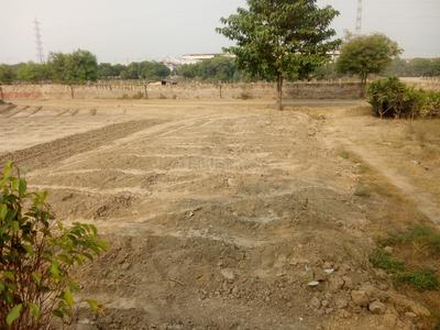 Gallery Cover Image of Sq.ft Residential Plot for buy in Sector 162 for 1250000