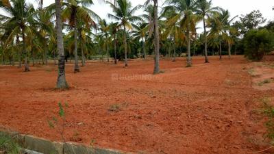 Gallery Cover Image of Sq.ft Residential Plot for buy in Peenya for 250500000