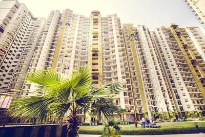 3 BHK Apartment