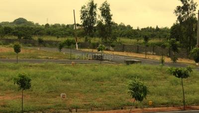Residential Plot