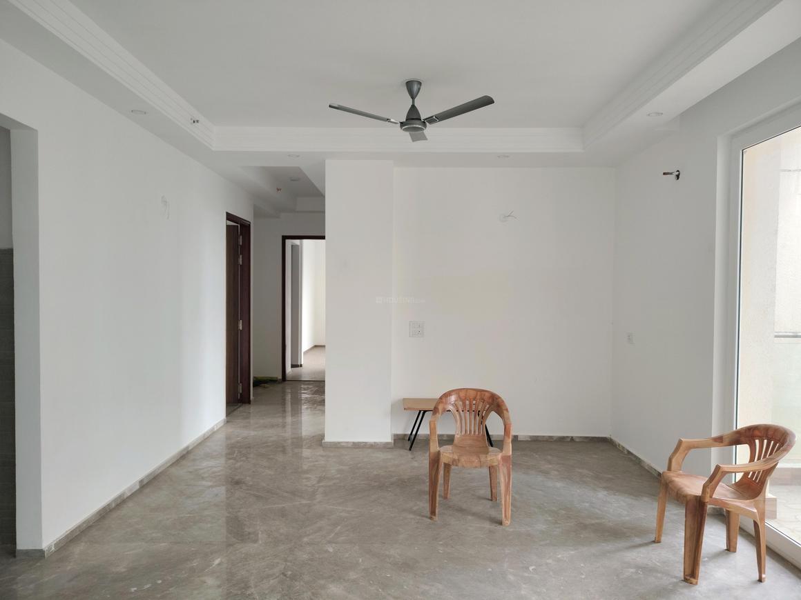 ACE Ace Starlit - Image 4