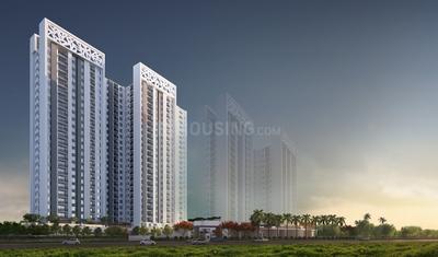 3 BHK Apartment