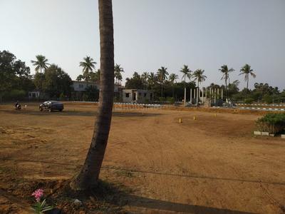 Residential Plot