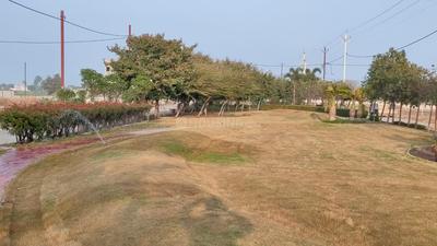 Residential Plot