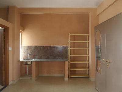 1 RK Apartment