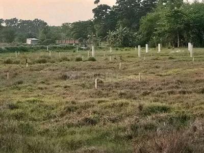 Gallery Cover Image of Sq.ft Residential Plot for buy in Rasapunja for 220000