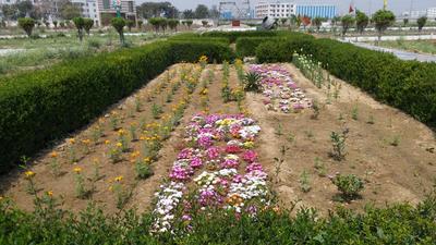 Gallery Cover Image of Sq.ft Residential Plot for buy in Dasna for 525000
