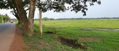 Gallery Cover Image of Sq.ft Residential Plot for buy in Rajarhat for 1400000