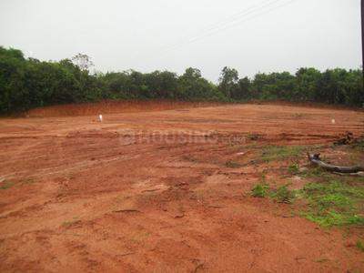 Gallery Cover Image of Sq.ft Residential Plot for buy in Thane West for 99000000