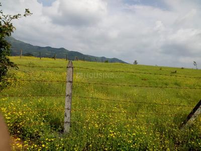 14000 Sq.ft Residential Plot for Sale in Talegaon Dabhade, Pune