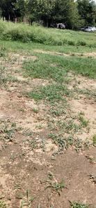 Gallery Cover Image of Sq.ft Residential Plot for buy in Sector 56 for 26563000