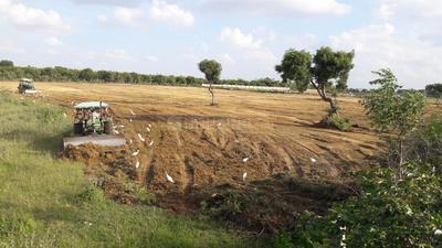 Gallery Cover Image of Sq.ft Residential Plot for buy in Gachibowli for 1812500