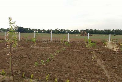 Gallery Cover Image of Sq.ft Residential Plot for buy in Chengalpattu for 1200000