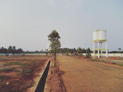 Gallery Cover Image of Sq.ft Residential Plot for buy in Solar Pirivu for 1550000