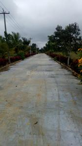 Residential Plot