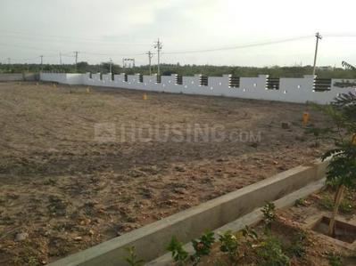 Residential Plot