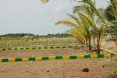 Gallery Cover Image of Sq.ft Residential Plot for buy in Sector 85 for 8000000