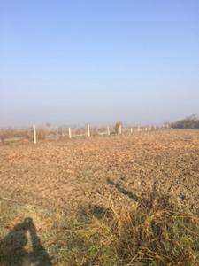 Residential Plot