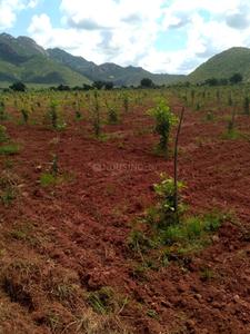 1205 Sq.ft Residential Plot for Sale in Nalasopara West, Mumbai