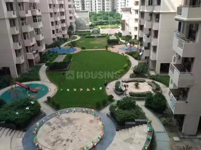 3 BHK Apartment