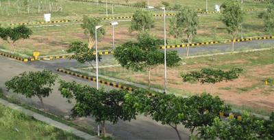 Residential Plot
