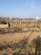 107 Sq.ft Residential Plot for Sale in Sector 37 Rohini, New Delhi