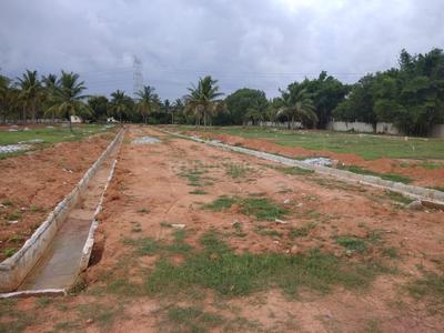 Residential Plot