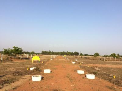 Gallery Cover Image of Sq.ft Residential Plot for buy in Thirunindravur for 235200