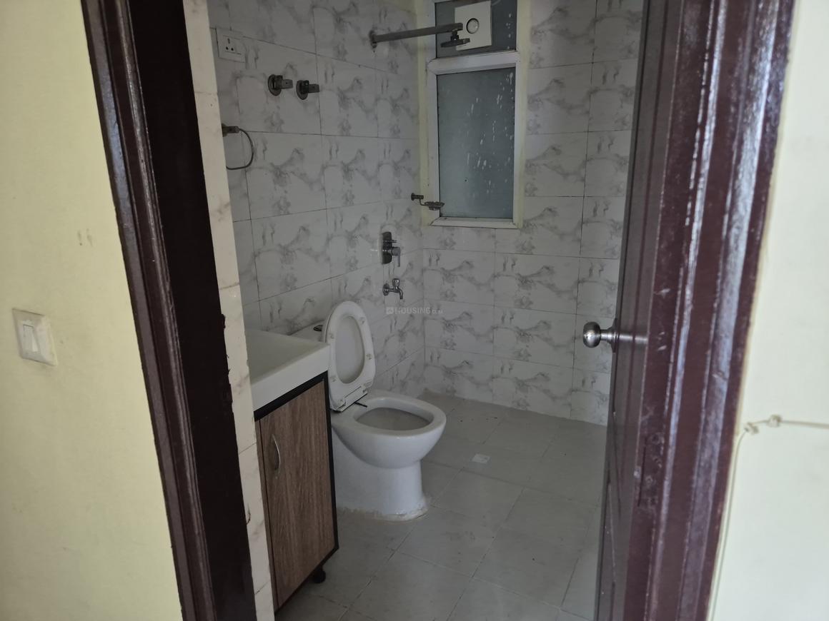 Sethi Max Royal - Image 14