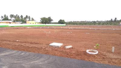Gallery Cover Image of Sq.ft Residential Plot for buy in Solar Pirivu for 699