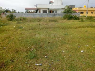 Residential Plot