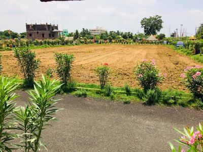 Residential Plot