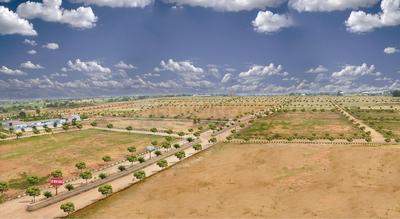 Residential Plot
