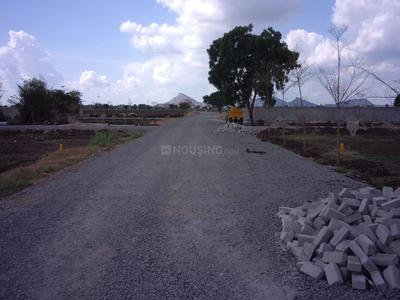 Residential Plot