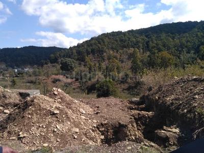 Residential Plot