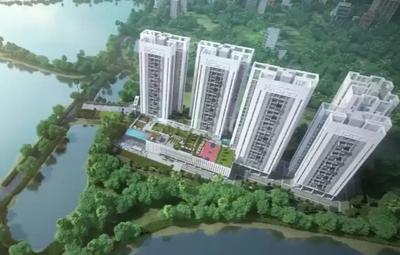 3 BHK Apartment
